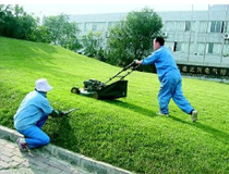 �����ˆT��Ӗ(x��n)�Y�� ������Ӗ(x��n)�̲� �F�(y��ng)������˾ �F�ݱ�����˾ 